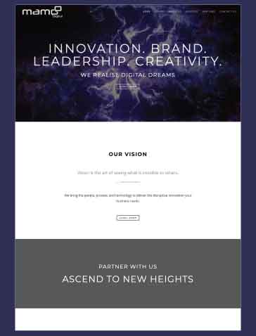 portfolio-item